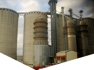 稳定供货商的DDOS网页端源码