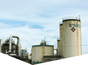 【免安装绿色版】无病毒的网站攻击软件工具